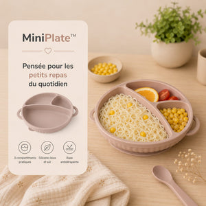 Mini Plate