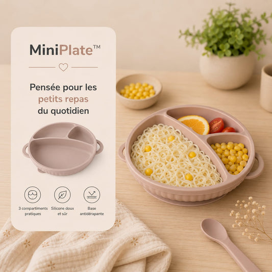 Mini Plate